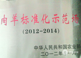 國家級肉羊標準化示范場