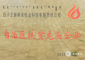 內蒙古自治區扶貧龍頭企業