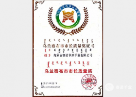 烏蘭察布市市長質量獎