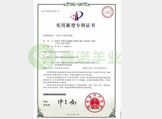 一種用于羊手術的支架