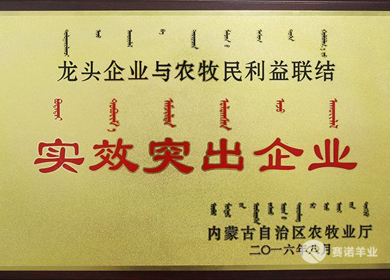 龍頭企業與農牧民利益聯結實效突出企業