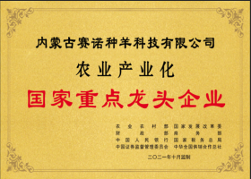 國家重點龍頭企業