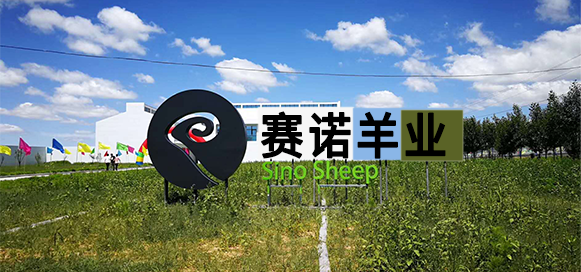 企業簡介