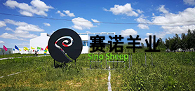 企業簡介